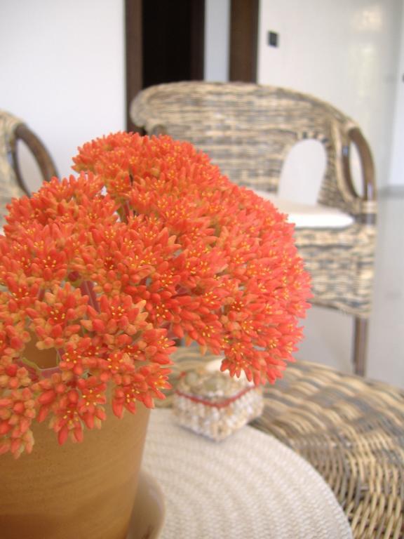 Capilungo B&B Corallo المظهر الخارجي الصورة